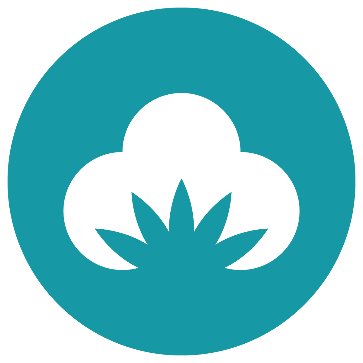 MerchCamp: Print‑on‑Demand