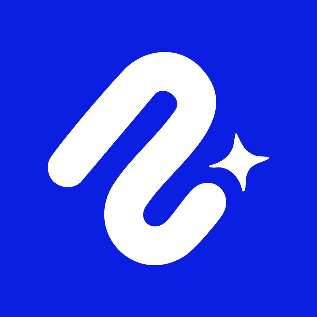 Nurii ‑ AI Business Assistant