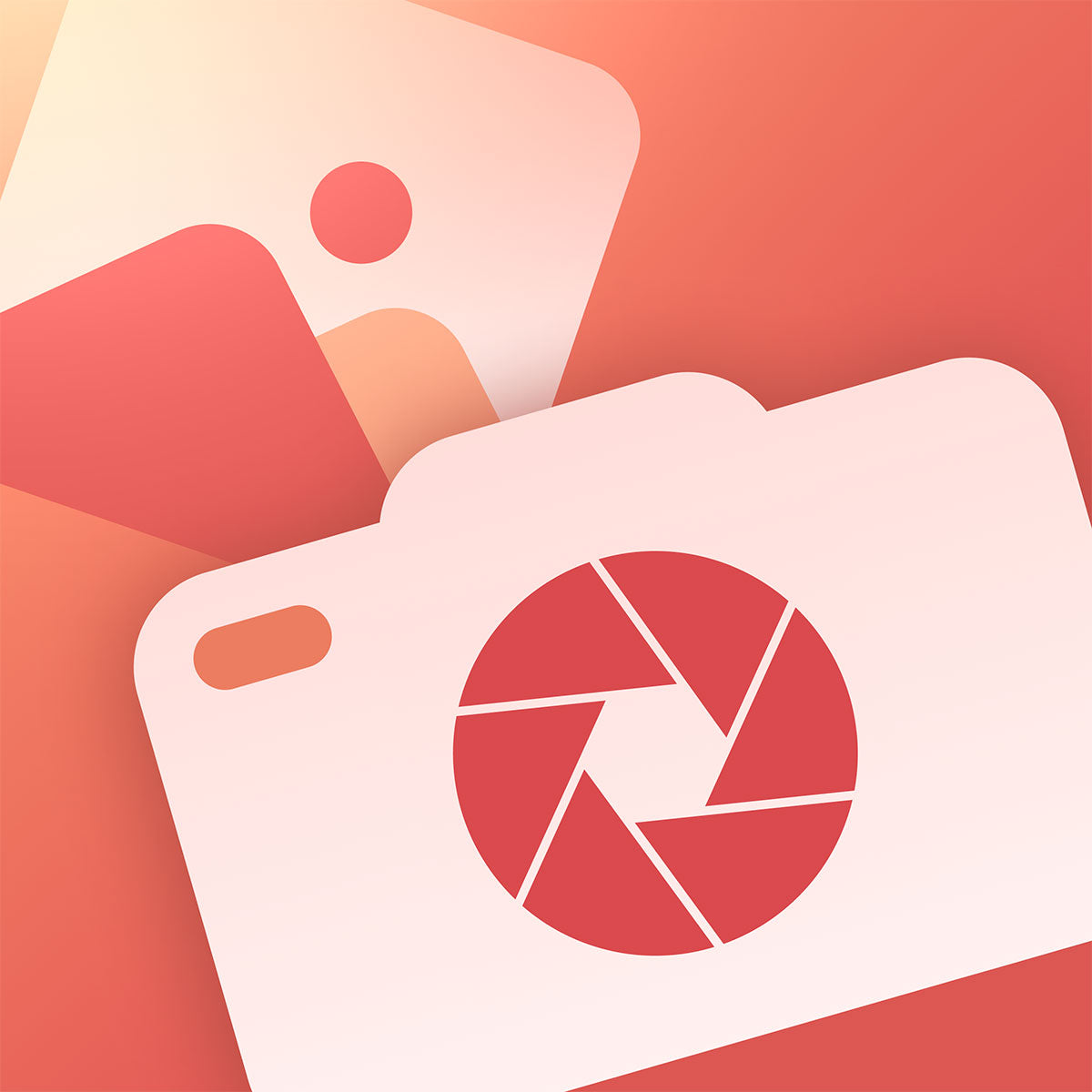 Manifest Dummy Product Images