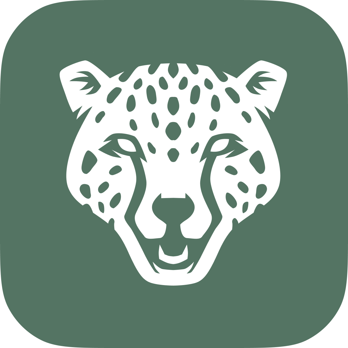 ChopChopify Speed Optimizer