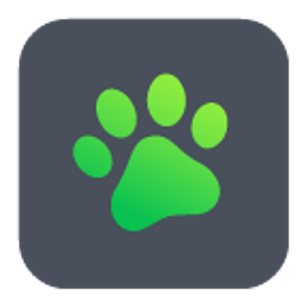 ReachDog