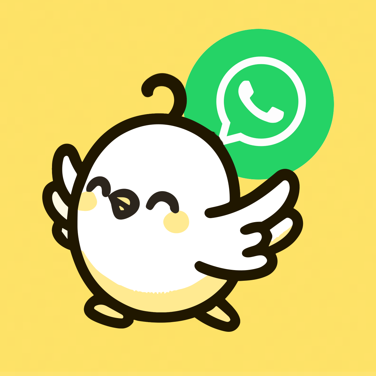 Coco: AI WhatsApp Marketing