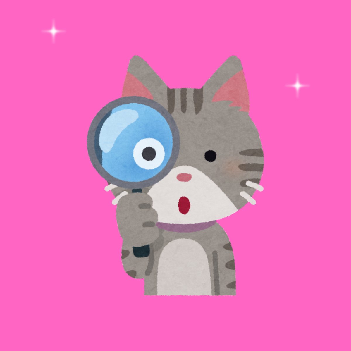 Bloggo: Blog Search Bar