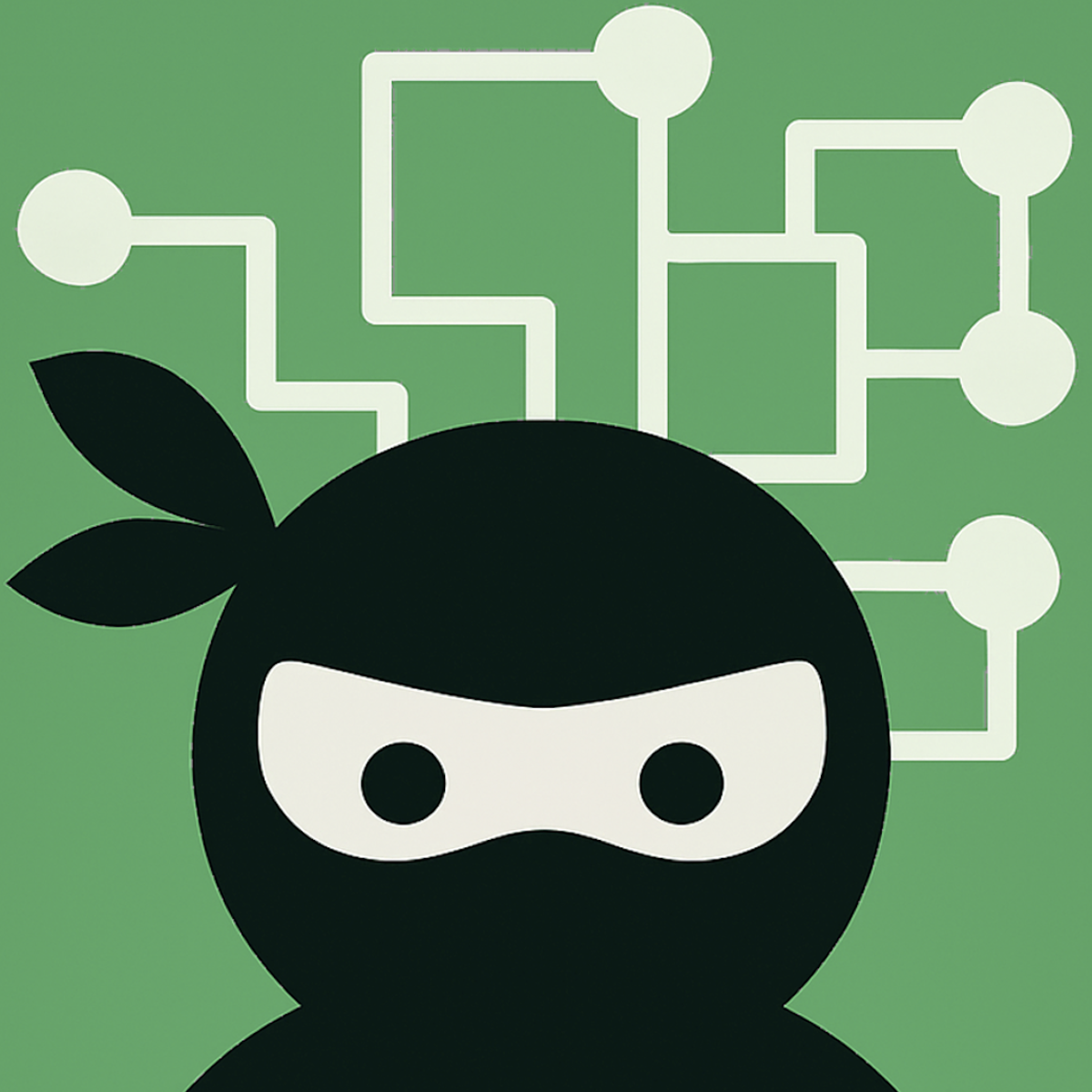 Schema Ninja – JSON‑LD SEO