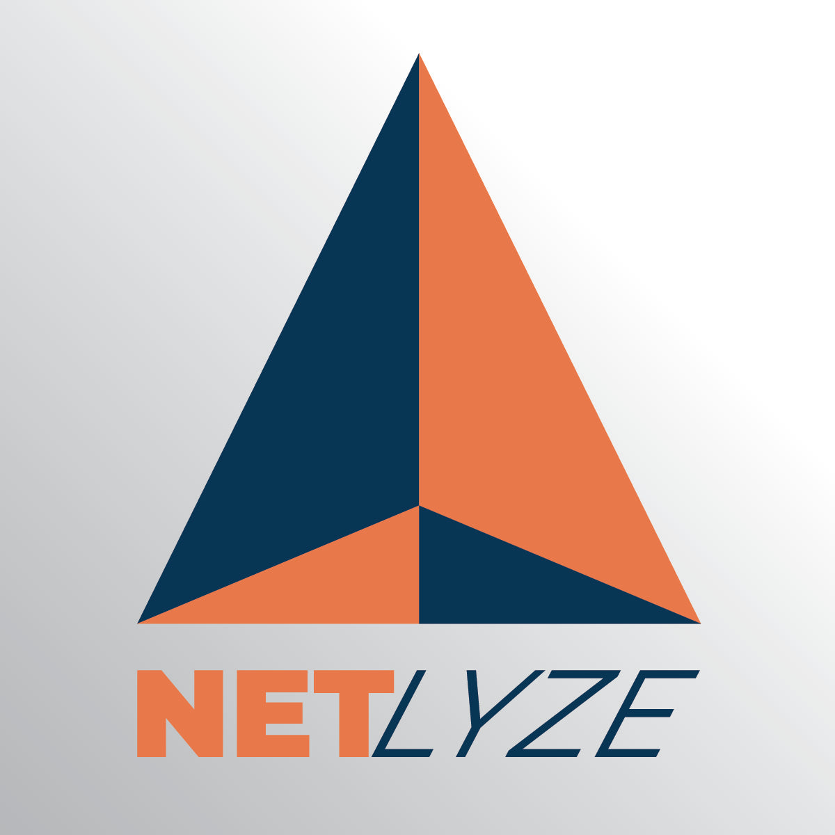 Netlyze ‑ Profit tracking