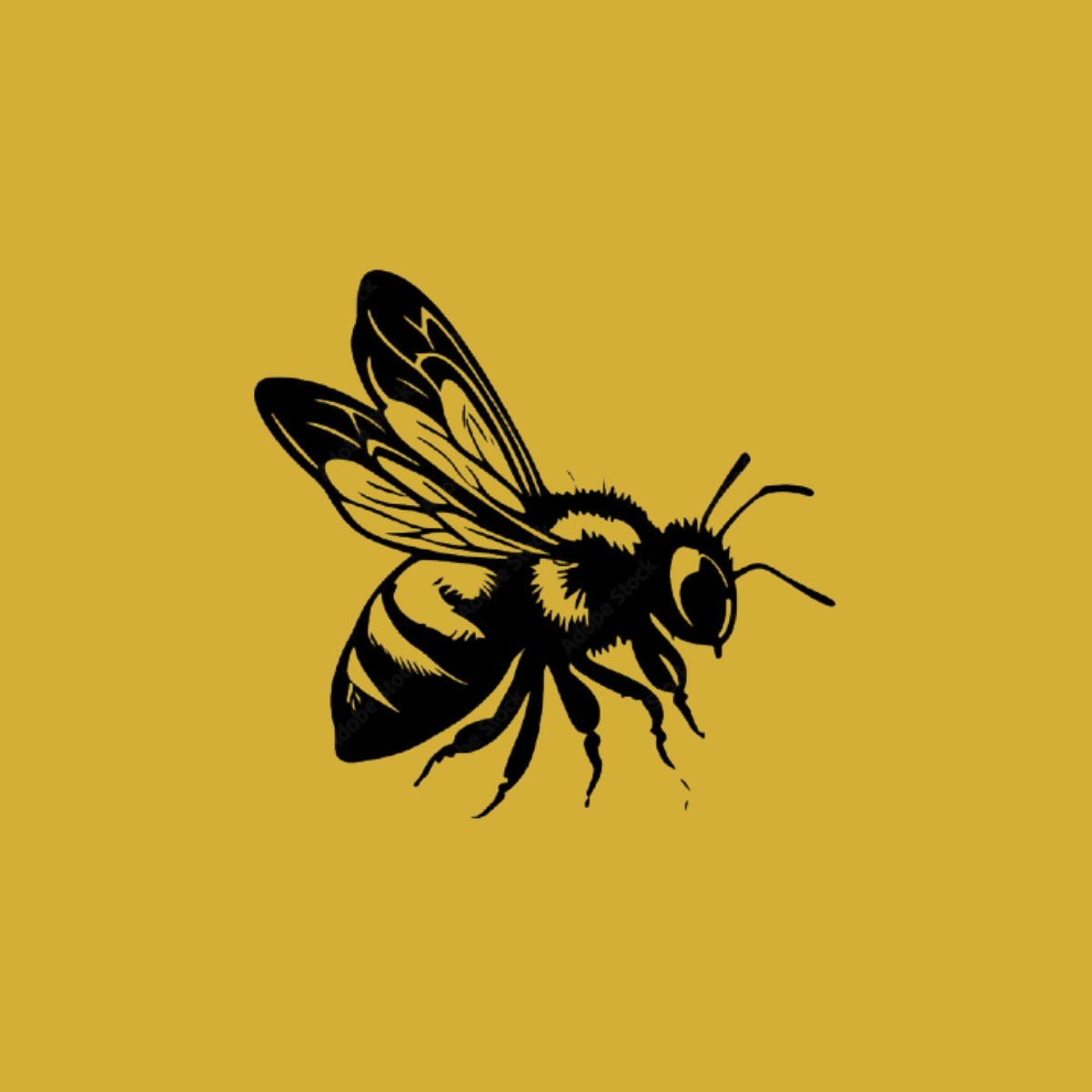 FoodLabeler: Order Ingredients