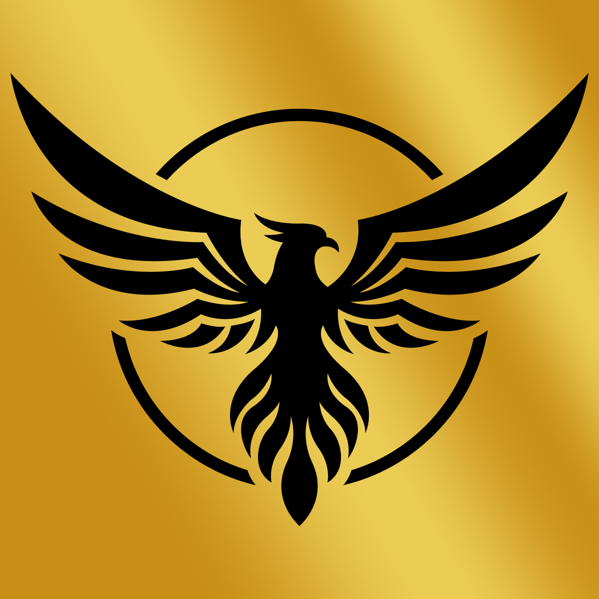 Falcon AB Test Split Test CRO!