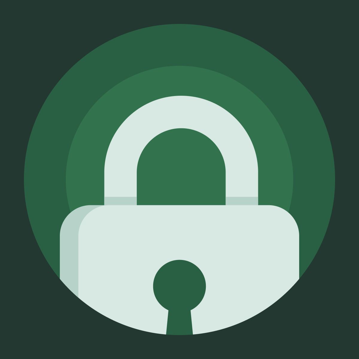 LockPro: Password Protect Lock