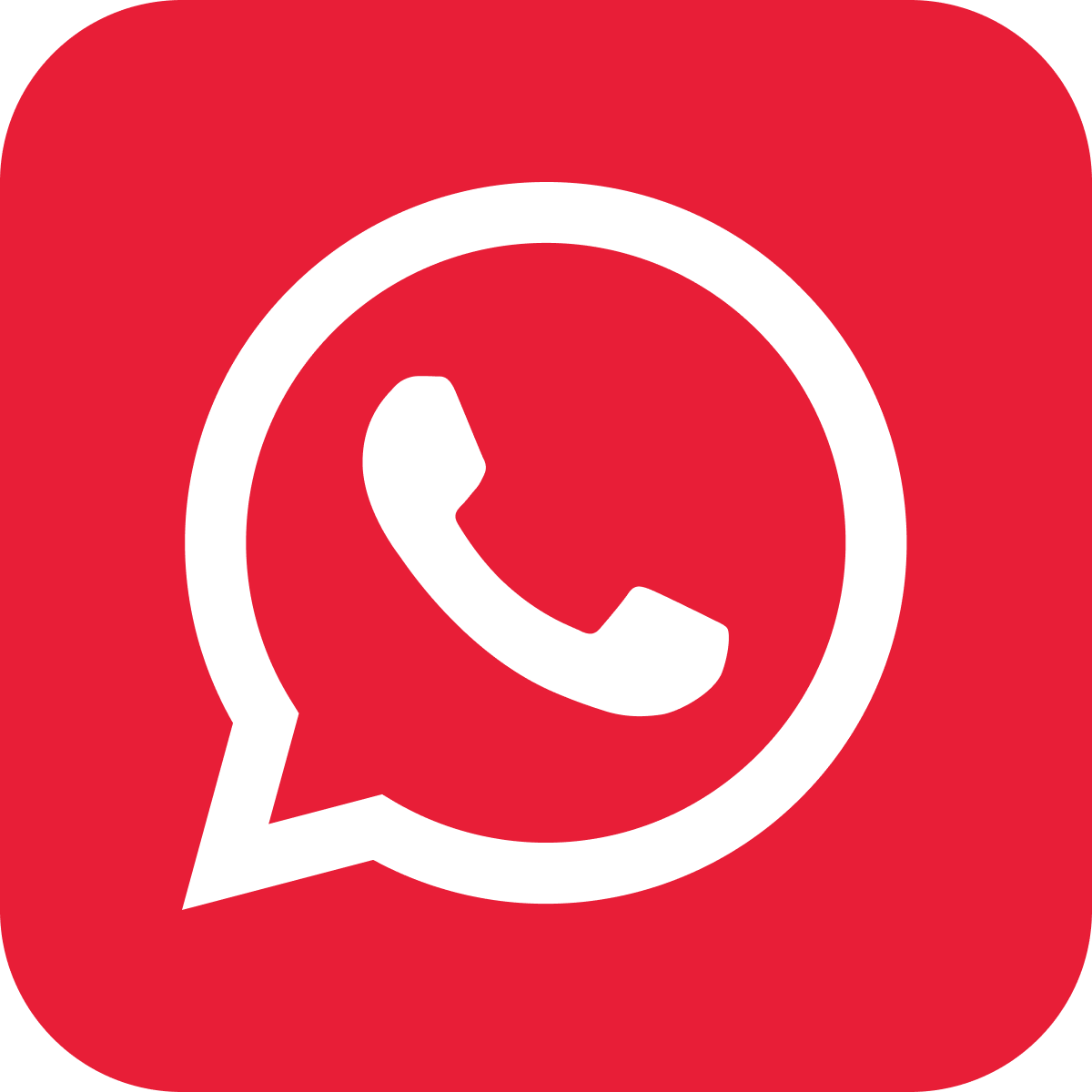 PlainChat: WhatsApp Chat