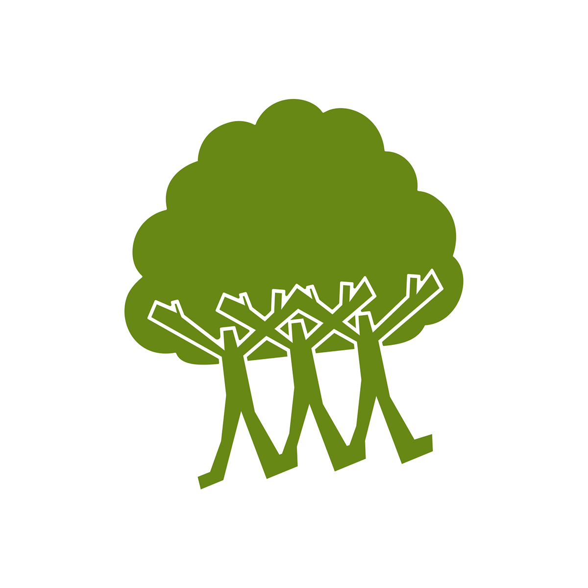 Plant‑for‑the‑Planet