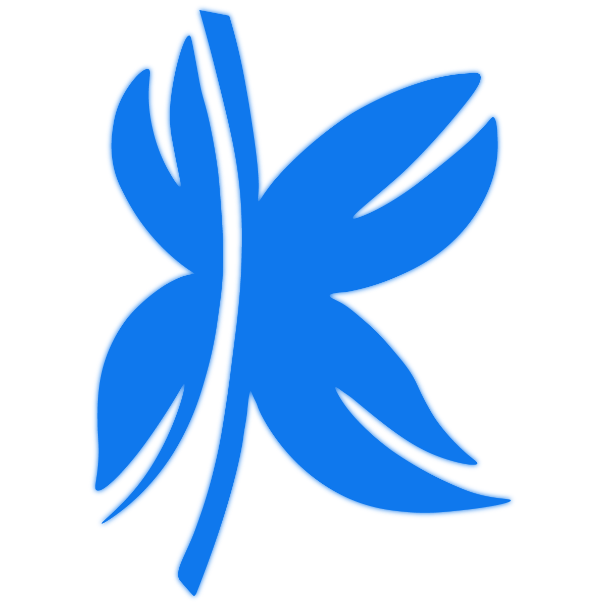 FKC Customer Balance