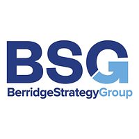 Berridge Strategy Group Limited