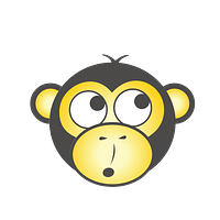 YellowWebMonkey Web Design