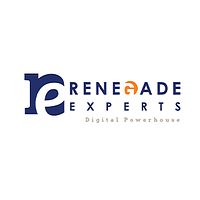 Renegade Experts
