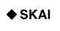 Skai Digital