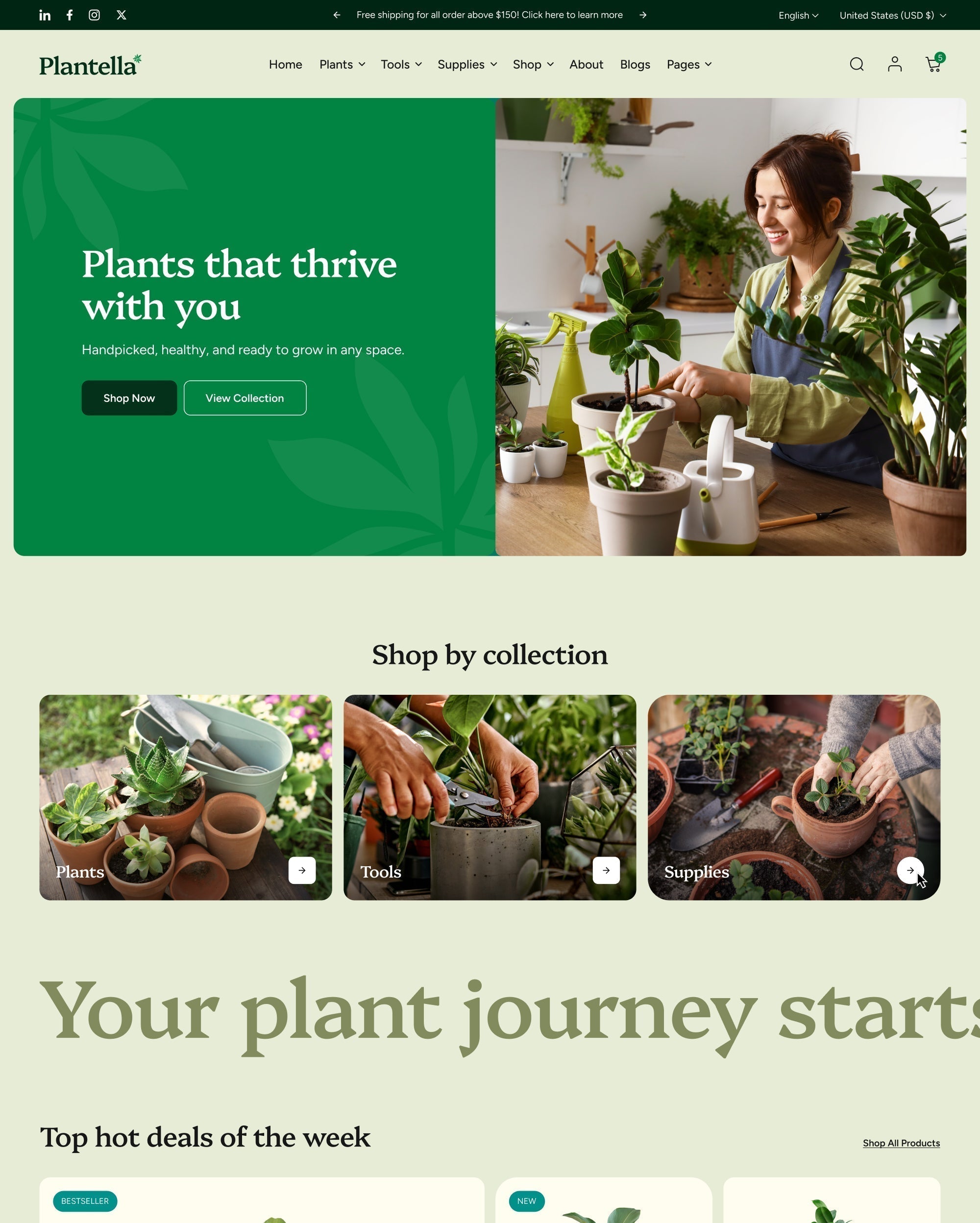 Plantella theme preview